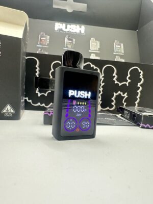 New Push 2G Disposable with Screen display