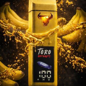 Toro Extracts 2G disposable