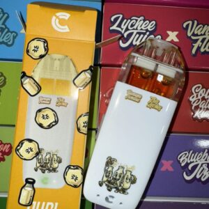 Choices Lab 2G Dual Flavor Disposable 2N1