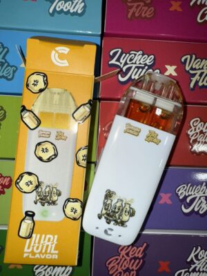 Choices Lab 2G Dual Flavor Disposable 2N1