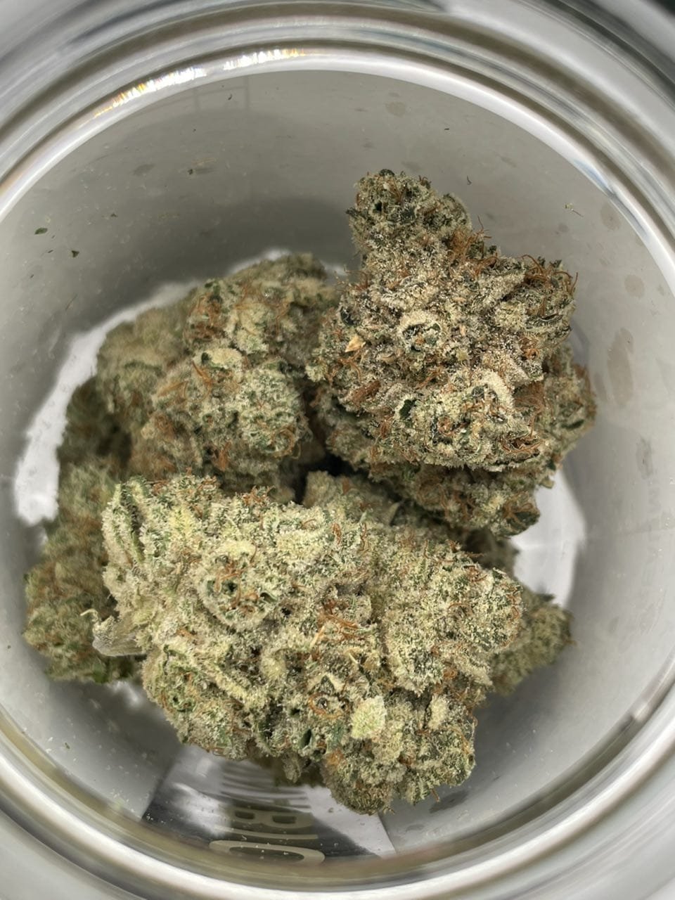 CBX CANNABIOTIX CEREAL MILK 14.17G - Image 3