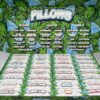 Pillows Powered By Snooze Premium Flower 14G