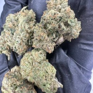 Alternative view of T BARZ SMALL BATCH ANTLERS (Zkittlez X Runtz)