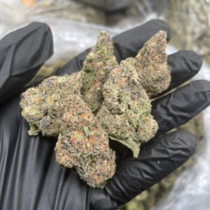 Alternative view of rainbow belts flower strain