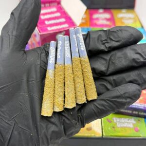 Alternative view of Snoozies minis preroll