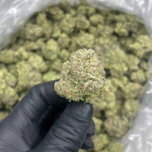 Alternative view of Neapolitan Rainbowz Flower