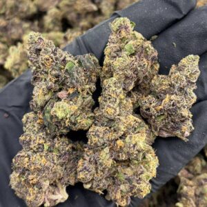 FF x Grape Pop Rocks Indoor Flowers