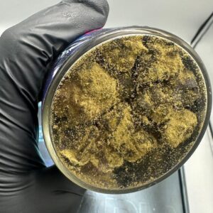 Alternative view of Arcadia Moonrocks