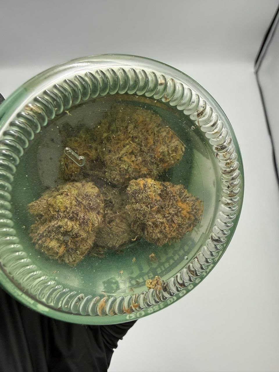 Planta Cannabis Company Flower 3.5G