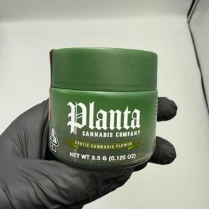 Alternative view of Planta Cannabis Company Flower 3.5G