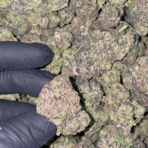 Alternative view of Blue Face Runtz Strain