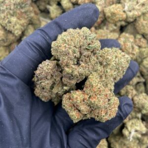 Alternative view of Jungle Cookies Strain