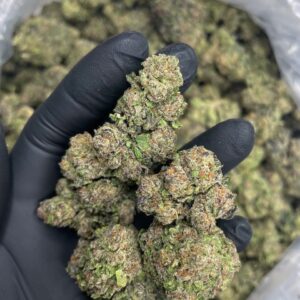 Alternative view of Blue Cherriez ML Strain