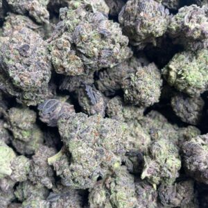 Alternative view of black mamba gelato ml strain