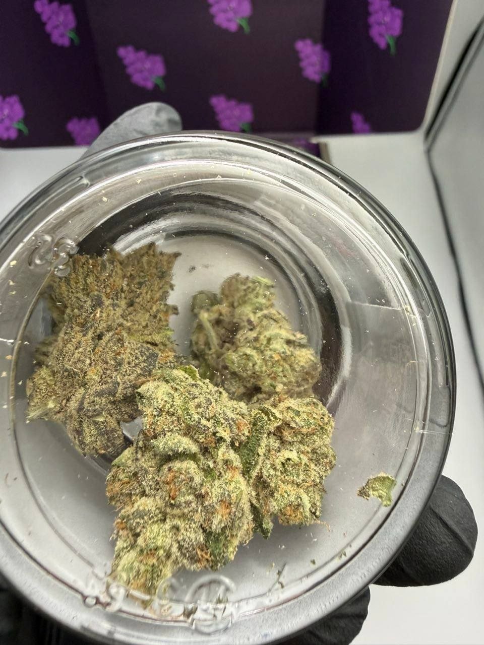 LIFE IS NOT GRAPE CANNABIS FLOWER