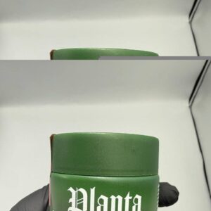 Planta Cannabis Flower