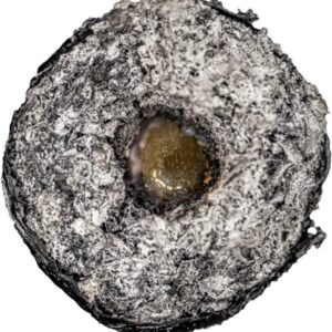Alternative view of Fidels Mini Hash Holes