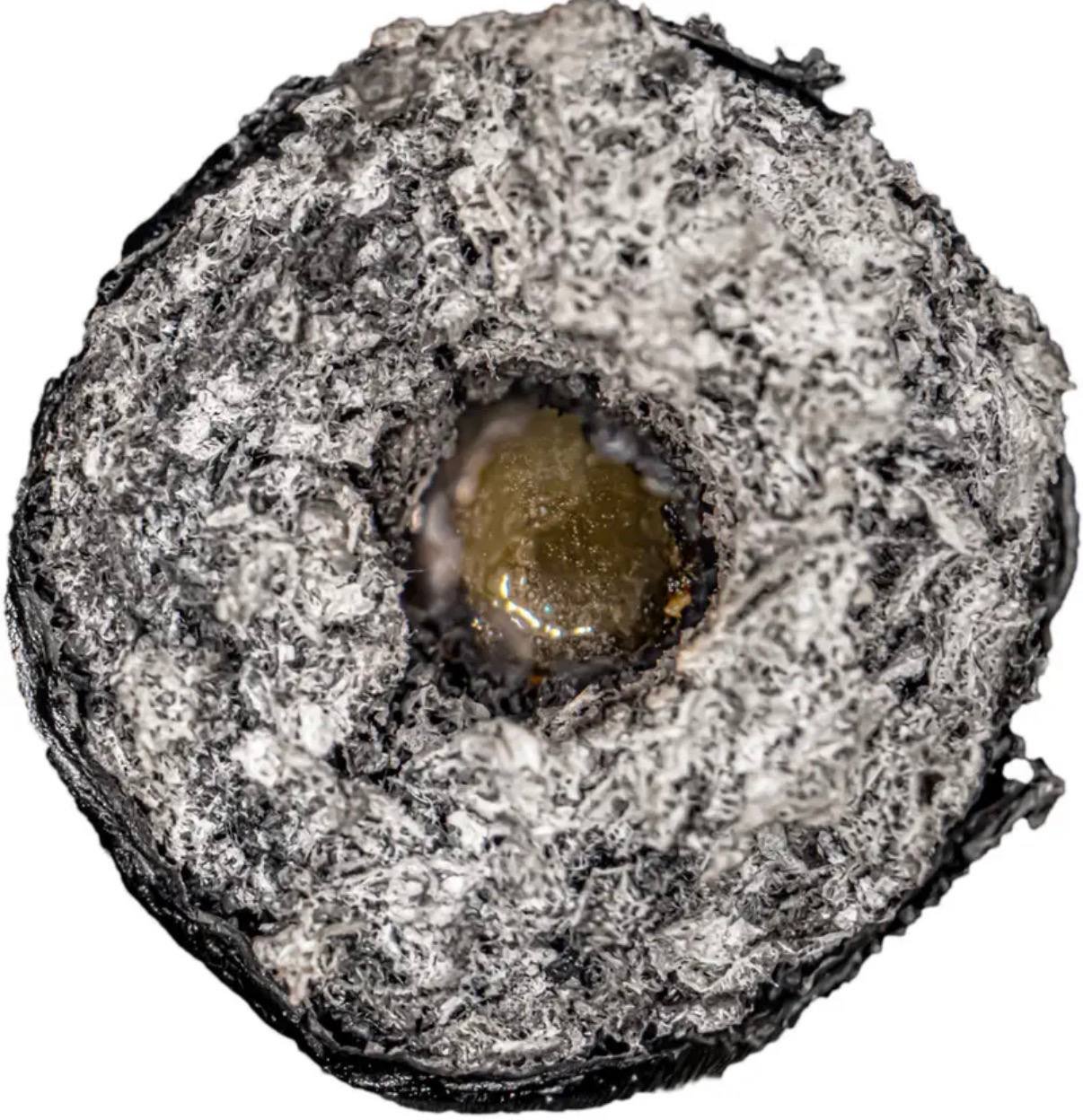 Fidels Mini Hash Holes - Image 2