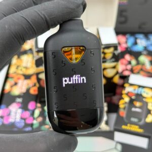 Alternative view of Puffin 5 Year Anniversary Disposable 2G